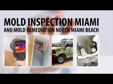 mold inspection miami moisture mold removal miami beach youtube mold inspection miami moisture mold removal miami beach youtube