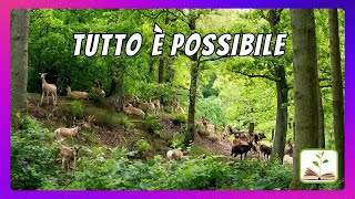 Video thumbnail of "Tutto è possibile, Dario Urbano - musica con testo"