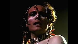 Adam & The Ants - Ant Rap (Synced to LP)