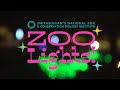 ZooLights B-Roll 2023