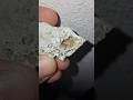 ✨️Golden and Frosted white Druzy Crystals coat this tiny Botryoidal Agate Geode!💛#crystals #minerals