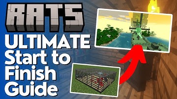 De ultieme gids voor ratten