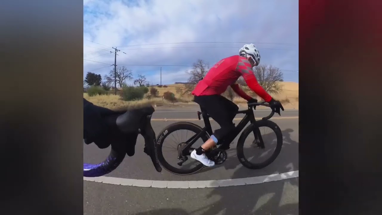 Benicia Bicycle Club