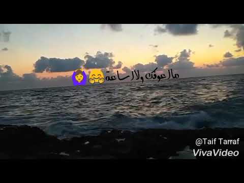 اتمنى ضمك بالقلب أصيل ماعوفك ولا ساعة