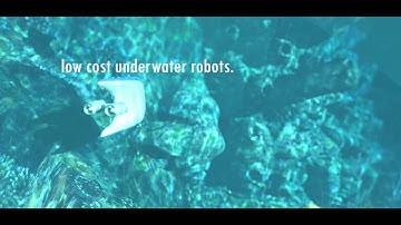 Monitoring of Coral Reefs using Low Cost Autonomous Underwater Robots   normal lysstyrke