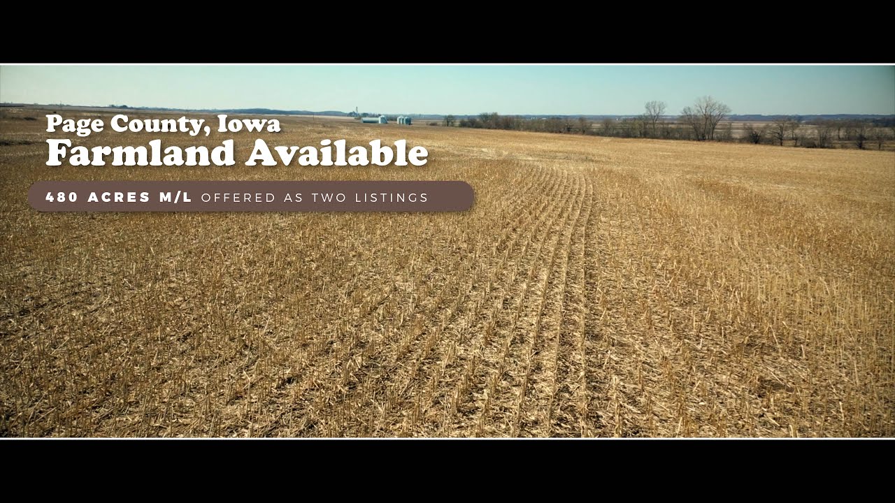480 Acres M/L Farmland For Sale Page County, Iowa YouTube