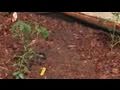 How To Set Up A Raised Planter Bed