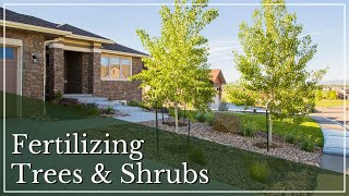 How and When to Fertilize Trees & Shrubs | Spring Fertilizing | Fertilizing Trees and Shrubs
