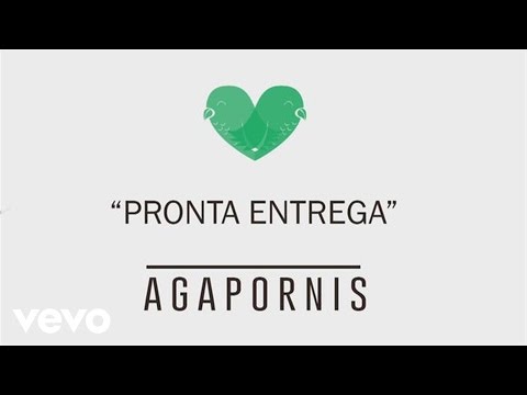 Pronta Entrega - Agapornis