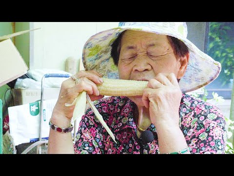 영원씨 옥수수와 자색감자 먹방 蒸したとうもろこしと紫ジャガイモ食べる steamed Corn &amp;amp; purple potatoes mukbang