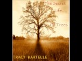The secret life of trees relax and chill out to 75 mins of original music by tracy bartelle