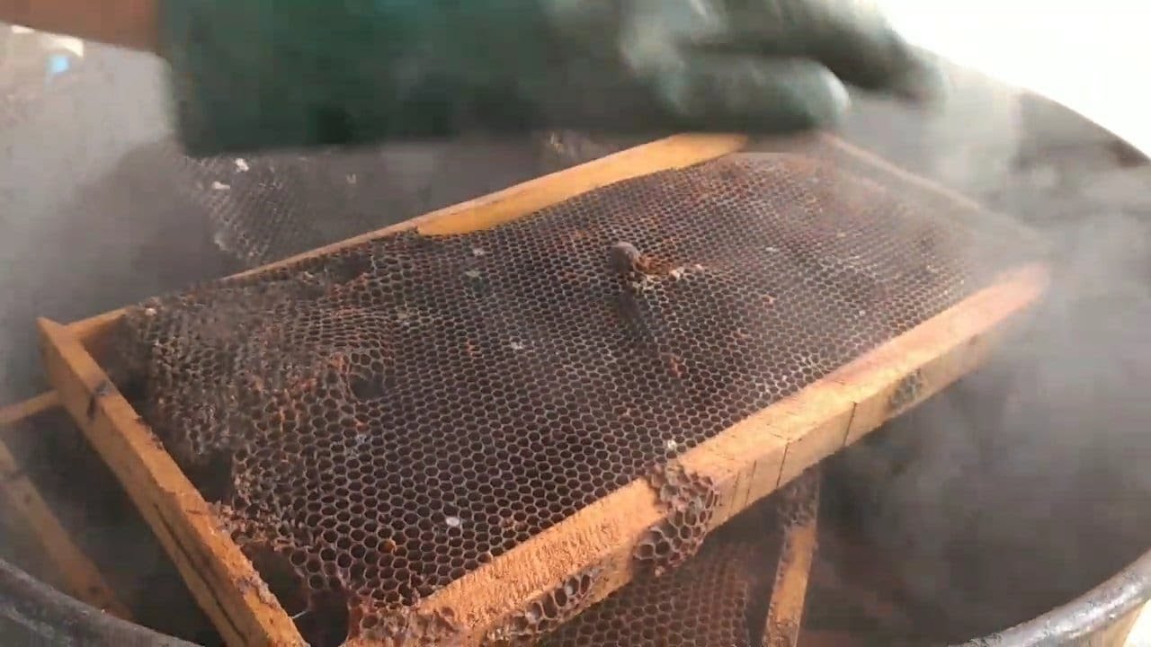 limpando quadros de cera velha no vapor 🐝🐝🐝
