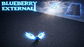 BEST EXTERNAL CHEAT IN ROBLOX | BLUEBERRY BERRY **UNDETECTED**