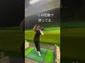 これは面白い
