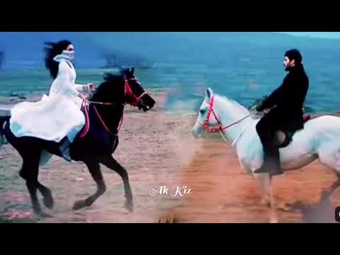 كل المكان مظلم لكن أغنية تركية الحب