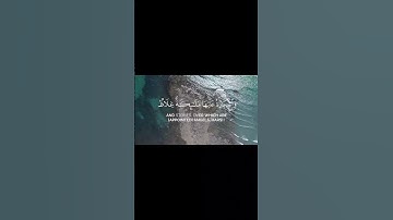 ياسر الدوسري يَا أَيُّهَا الَّذِينَ آمَنُوا قُوا أَنفُسَكُمْ وَأَهْلِيكُمْ نَارًا سورة التحريم