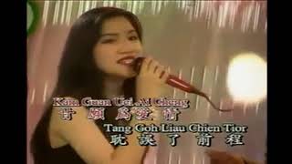 [KARAOKE] 一枝針一條線 Cit Ki Cham Cit Tiau Sua