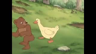 O Pequeno Urso Maratona 1 Temporada Todos Os Episódios Português Dublado