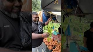Road Side Of Malaysia Malaysian Jungle Vegetable