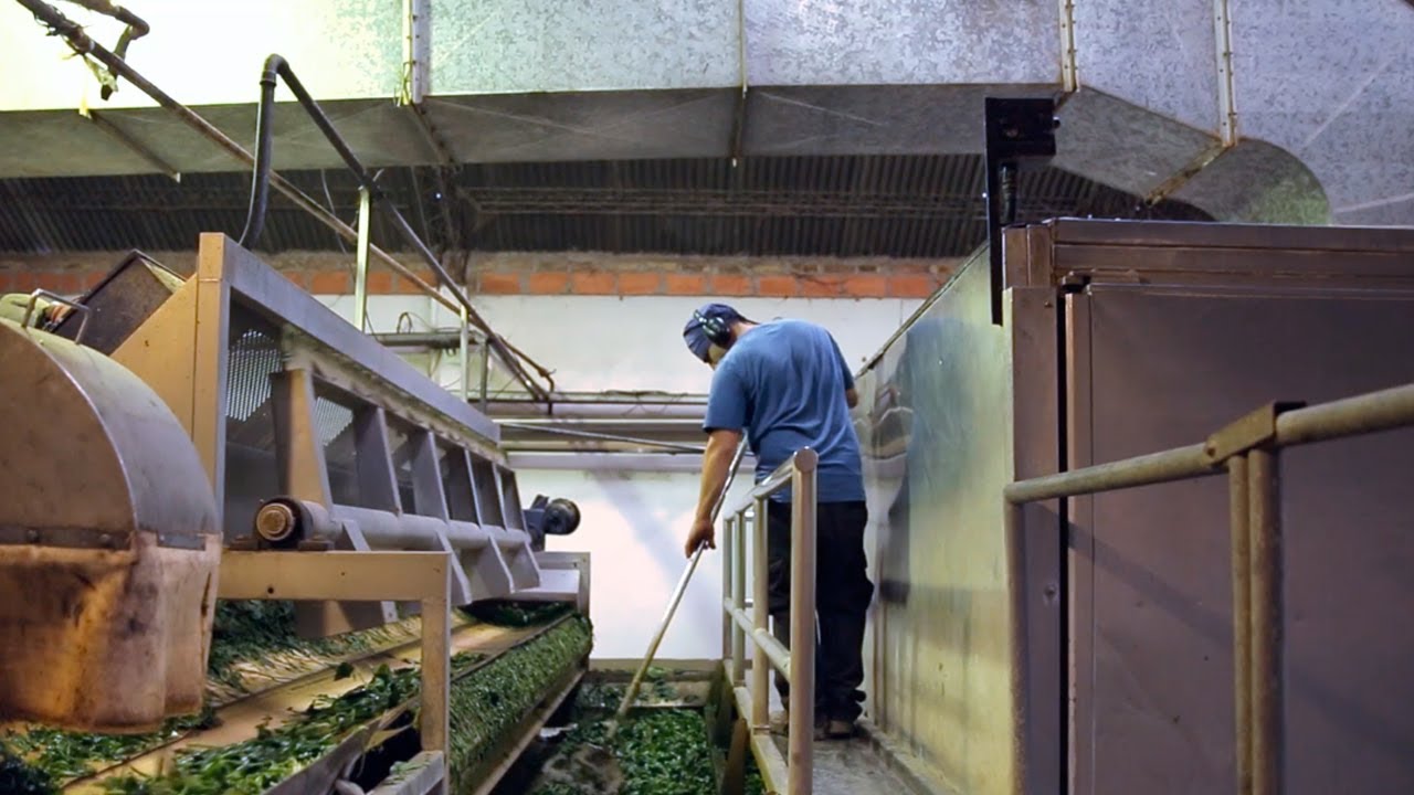 cooperativas en chile En Mendoza trabajan en equipo