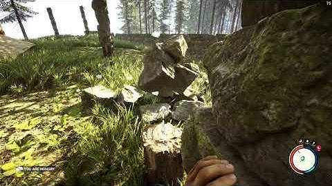 Sons of the Forest Exploit - How to duplicate stones instantly!