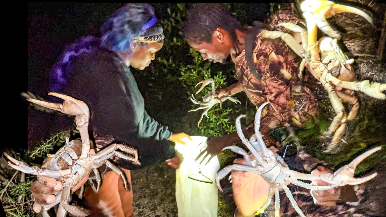 Mud Crab Catch and Cook | Traditional Coastal Harvesting