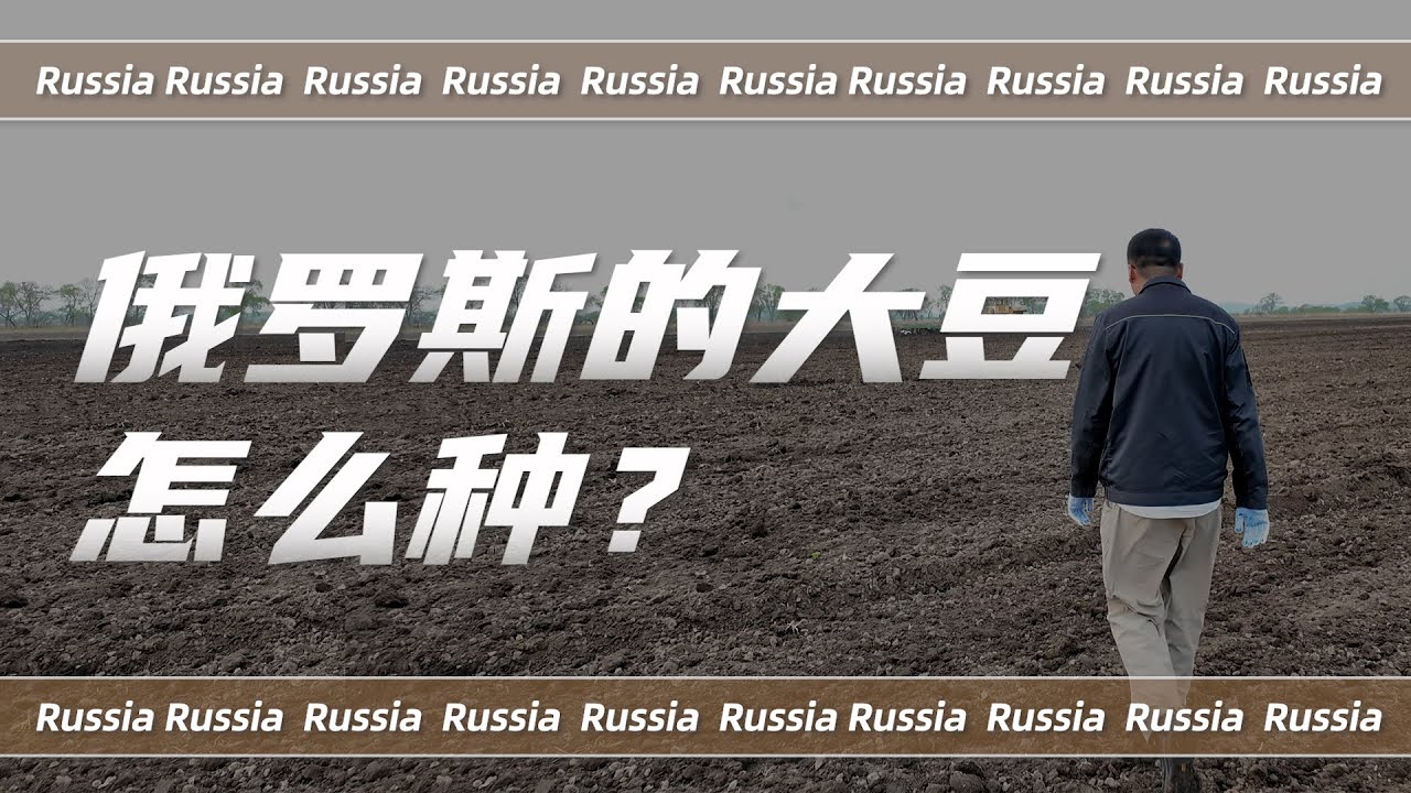 俄罗斯的大豆，到底是怎么种的？