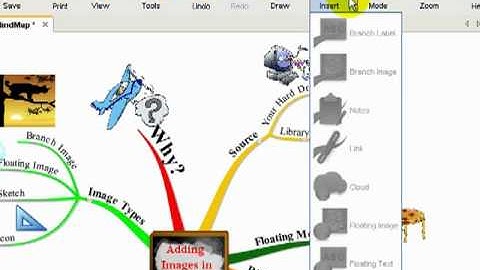 iMindMap - Adding Images to Your Mind Map