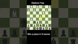 The Elephant Trap 🐘 Crushes Beginners Instantly!