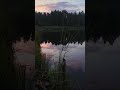 Forest Lake Evening 🌙 Poland 4K60 #DuskAmbience #NatureShorts #Shorts