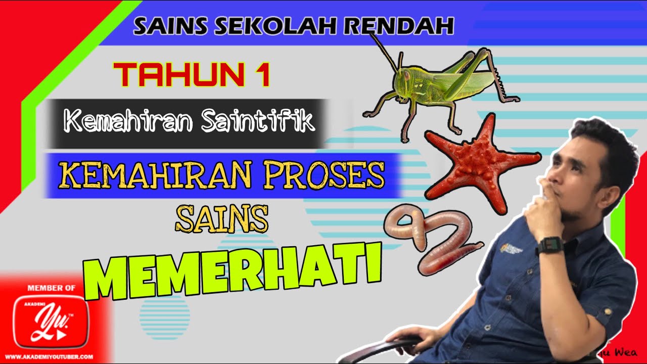 Sains Tahun 1: Kemahiran Proses Sains | Memerhati