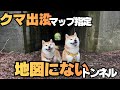 「熊出没マップ」に指定されている、地図にない秘境を柴犬と目指す