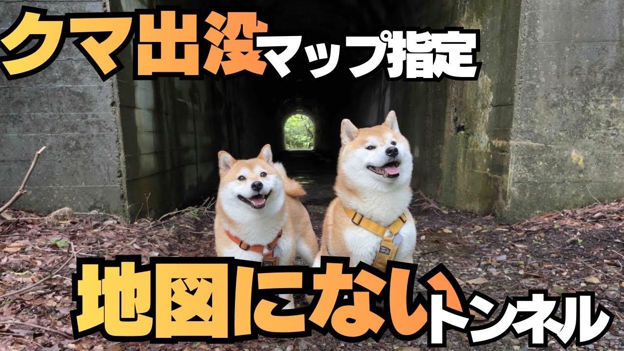 熊出没マップ」に指定されている、地図にない秘境を柴犬と目指す - YouTube