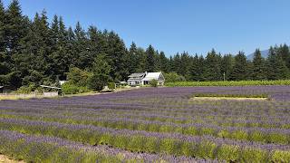231 Columbia Valley | Sarah Toop |