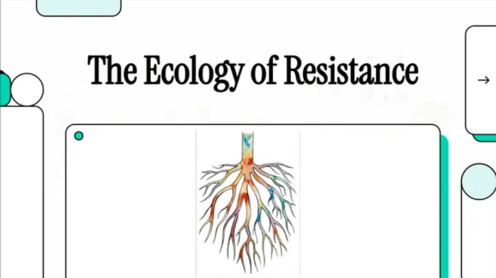 SOCIAL THEORY: AMERICANAS ZAPATISTAS! - An ecology of resistance & the taxonomy of action - pt 01