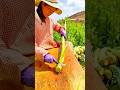 Peeling a long fresh green vegetable stem manually using a metal peeler tool on a wooden table