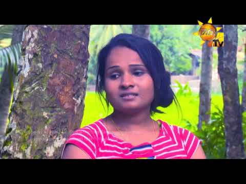 Room Number 33 | Episode 07 | 2017-11-15