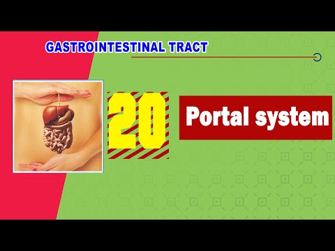 20. Portal venous system n