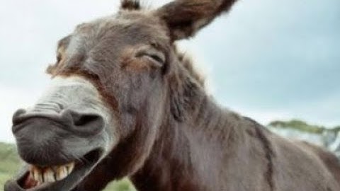 Geometry Dash | Dash N Xplodes by CherryTeam (Insane demon)