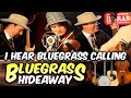 Carolina blue  i hear bluegrass calling me  bluegrass music hideaway