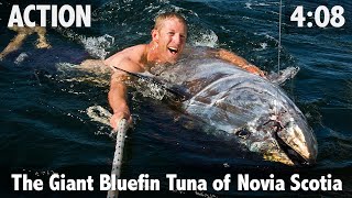 The Giant Bluefin Tuna of Nova Scotia - ULTIMATE FISHING TV