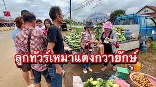 ทริปเที่ยวลาว🇱🇦(ปากเซ-ปากช่อง)ไป-กลับ1วัน ลูกทัวร์สะออนแตงกวายักษ์ เหมาคนละ10กิโล #เที่ยวลาว