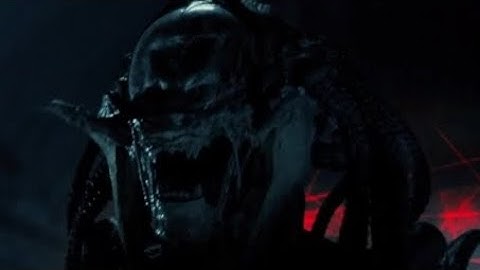 Aliens vs. Predator: Requiem [2007]- Predalien Screen Time