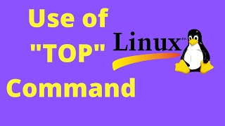 How to use TOP Command in Linux || URDU || HINDI || IT FIXER