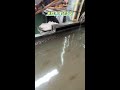 Wood grain water transfer printing process factory live video