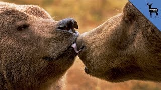 3 Animals That Love Oral Sex