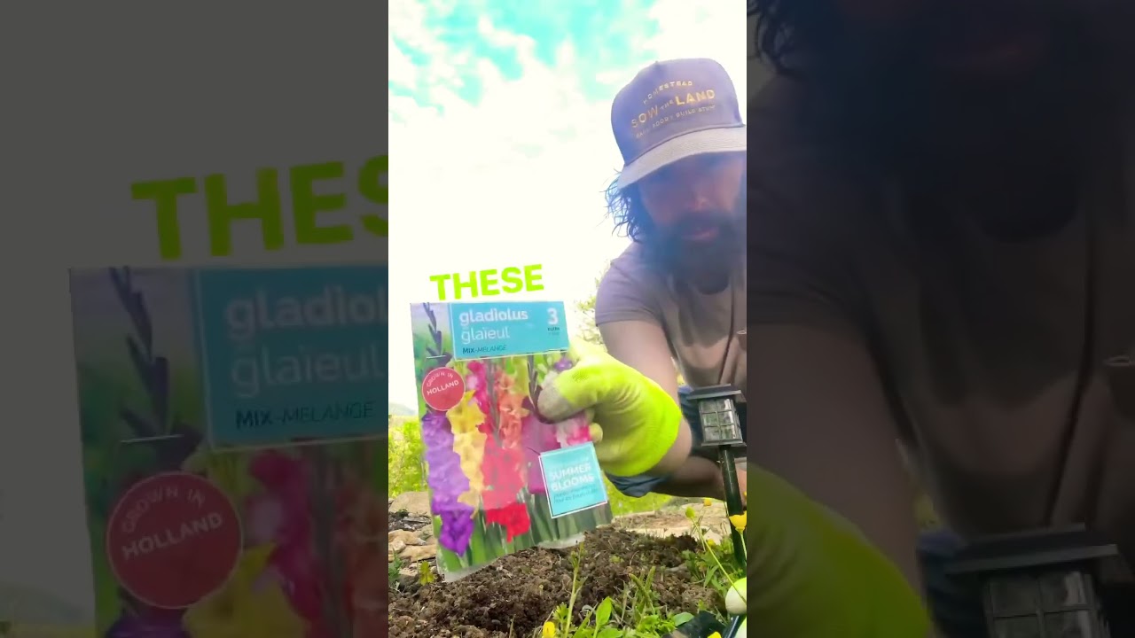 🔥Don’t miss this Dollar Tree item🌼