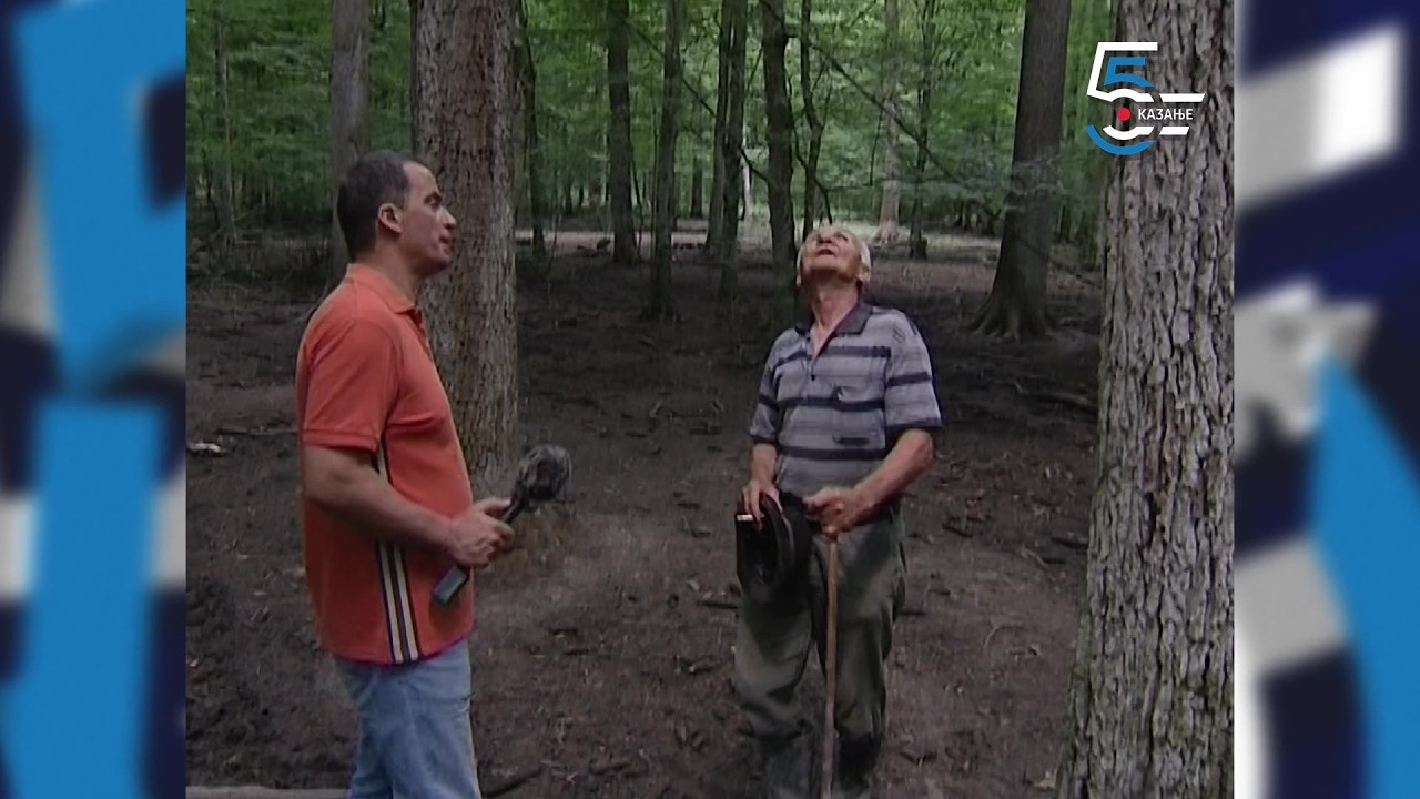 Šerine gljive brestovače - doživljaji u šumama oko Morovića