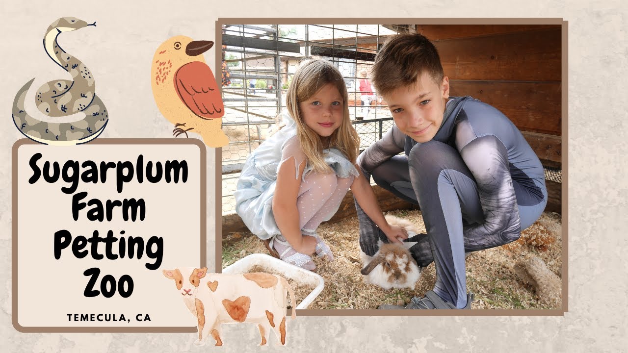Sugarplum Farm of Temecula Petting Zoo and Reptile Encounter Halloween event 2020 Reptiles