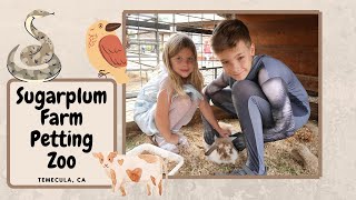 Sugarplum Farm of Temecula Petting Zoo and Reptile Encounter | Halloween  event 2020 | Reptiles